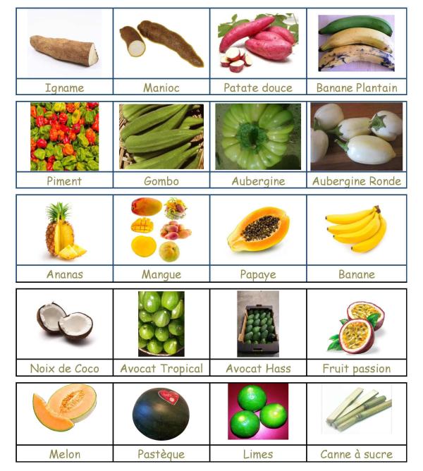  Partenariat Enseigne De Distribution Exotique - fruits et légumes developpement d'enseignes de distribution exotique cherche des partenaires commerciaux pour le developpement d'enseignes de distribution exotiques. 