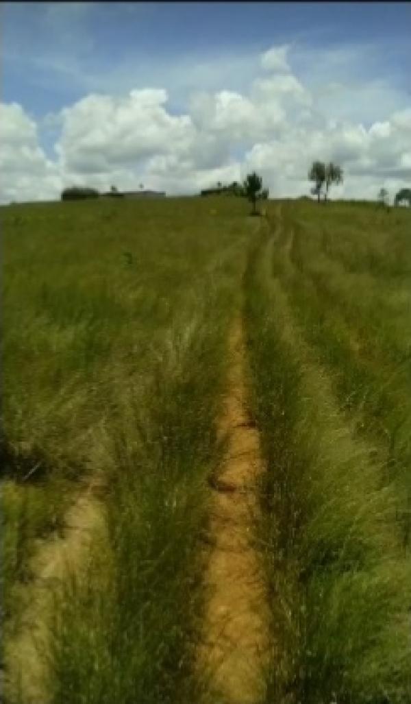  Opportunité Foncière Saisir - mine terrain concession  terrain &agrave; vendre terrain de 7 hectares situ&eacute; &agrave; 100 m&egrave;tres de la route nationale 4 (pk36) emplacement strat&eacute;gique id&eacute;al pour projet r&eacute;sidentiel agricole ou investissement &agrave; long terme. caract&eacute;ristiques   certificat fonci
