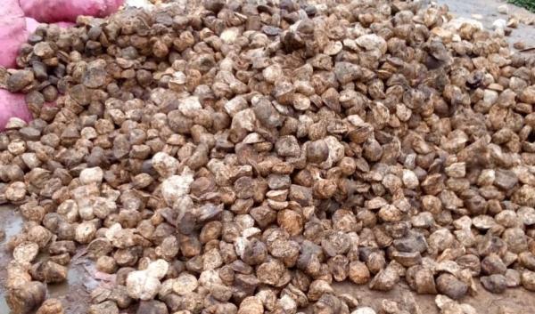  Fournisseur De Dérive De Caoutchouc (- Tsr 10 - matiere vegetale nous fournissons des d&eacute;rives de fond de tasse (caoutchouc) tel que ----tsr 10--tsr 20--upgrade--crepes--d&eacute;class&eacute;s --granul&eacute;s 