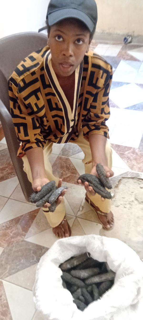  Vendeuse Concombre De Mer - autres  j espere que toute va bien je une vendeuse concombre de mer en haute qualit&eacute; pour le moment je cherche des client 