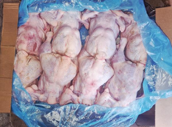  Poulets Entier Halal Congelés - viandes et oeufs j'ai une quantit&eacute; de 10 tonnes de poulets surgel&eacute;s provence allemagne. poulet frais surgel&eacute;s nettoy&eacute; sans abats. carton de 14kg(les poulets font 1.400kg avec 10 poulets/carton) carton &agrave; 35€ palette &agrave; 1400€ carton de 12kg(les poulets font 1.500kg