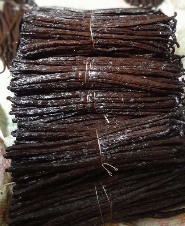  Madagascar Bourbon Vanilla Beans - aromatic spices we are vanilla beans company and exporter from madagascar supply gourmet grade a vanilla beans moisture 30% 35% lenght 14cm 20cm shelf life 2 years vanillin 1 6% 2 4% please feel contact us via whatsapp text and call for th&eacute; further details