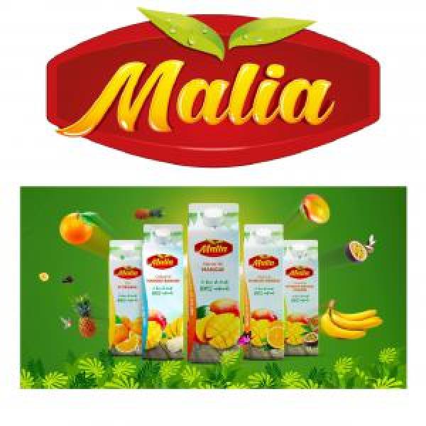  Jus De Mangue, Ananas, Orange-banane-passion - boissons non alcolisée cherche distributeurs de jus naturels d'afrique jus de mangue d'ananas d'orange de banane orange cocktail de orange passion distribution de jus de fruits exotiques cherche distributeurs de jus exotiques partout dans le monde. jus de mangue jus d'ananas jus d'orange jus de banane jus de
