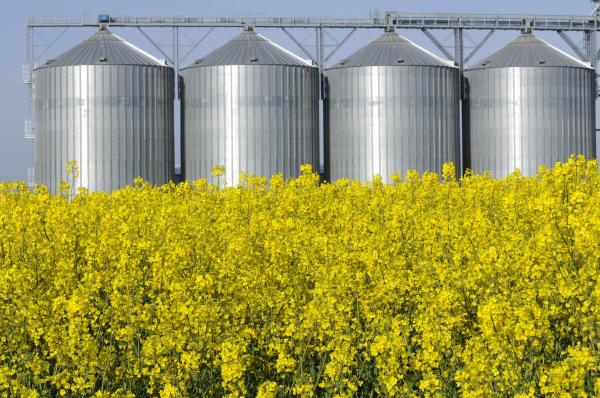  Investissement Projet Intégré En Agronomie - Investissement capitaux opportunit&eacute; pour un investissement participatif (farm crowdfunding) pour un projet int&eacute;gr&eacute; d'extraction (trituration) d'huile de colza (culture agricole et transformation agroalimentaire) et de valorisation des d&eacute;bouch&eacute;s (pour alimentation animale et mati&egrave;re