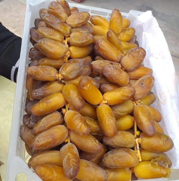  Enour Dates From Tunisia Natural Sweetness - fruits and vegetables enjoy the authentic taste of our enour dates carefully grown in the sunny oases of southern tunisia. harvested at full ripeness and naturally sun dried they offer a soft texture sweet caramel flavor and a natural source of energy. key features 100% natural – no additives or preservativ