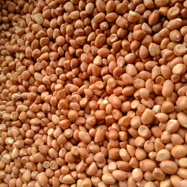  Arachides (cacahuetes) Sesame - fruits secs et graines grillées  par cette annonce nous vous informons de la disponibilit&eacute; de la nouvelle r&eacute;colte des arachides (cacahu&egrave;tes) et du s&eacute;same au burkina faso. notre entreprise domicili&eacute;e &agrave; ouagadougou se met &agrave; votre enti&egrave;re disposition pour vous fourni