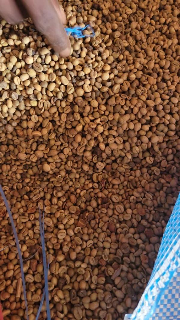  Besoin De Hevea Cacao Et Café - café cacao thé  annonce aux fournisseurs de produits agricoles ! cacao 2900 f cfa le kilogramme caf&eacute; 1900 f cfa le kilogramme h&eacute;v&eacute;a prix apromac + 70 f cfa le kilogramme conditions de paiement h&eacute;v&eacute;a paiement cash apr&egrave;s livraison cacao et caf&eacute;