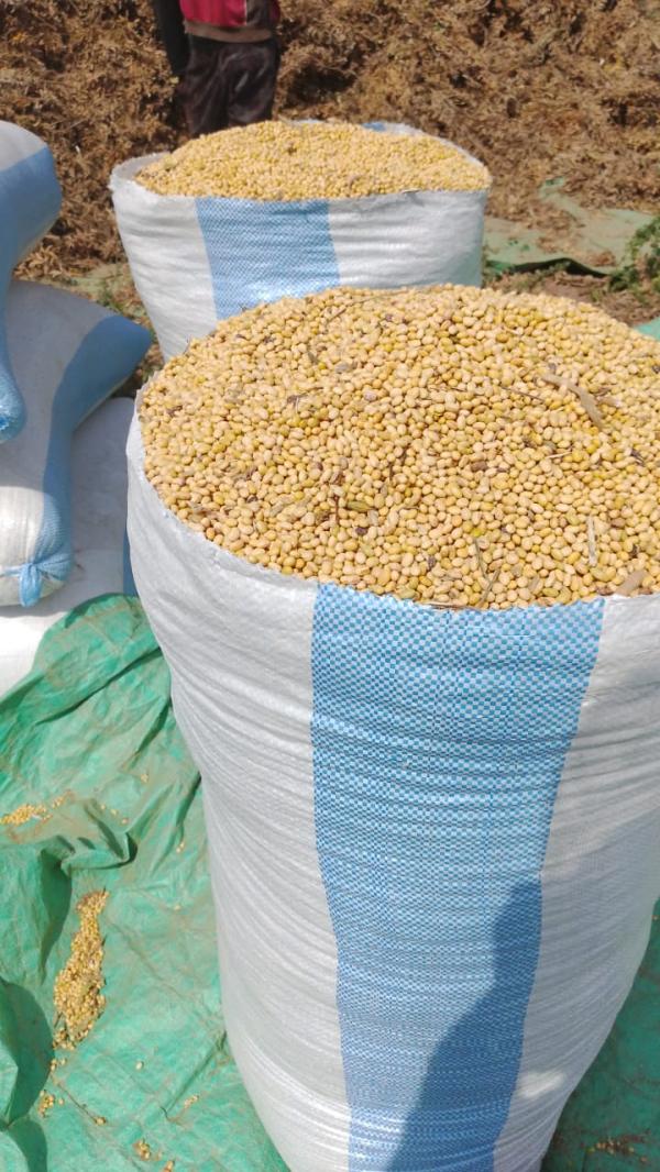  Fournisseur De Céréales (soja, Haricots, Sés) - céréales nous sommes une soci&eacute;t&eacute; d.achat/vente et de n&eacute;goce dans les produits agricoles (c&eacute;r&eacute;ales &eacute;pic&eacute; ect) nous faisons &eacute;galement les produits tels que la noix de cajou bruit et d&eacute;cortiquer le roucou la maniguette 