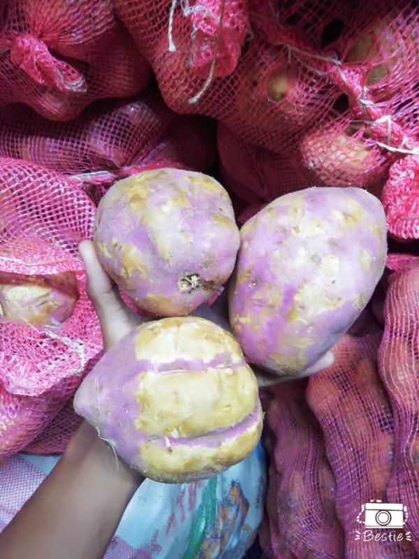  Patates Douces De Hautes Qualités - fruits et légumes --bonjour à tous, ----nous sommes disponibles pour vous fournir  des patates douces de haute qualité au meilleur prix,  car nos patates douces son à 1.400 ar/kg,  livraison incluse à tananarive.--nous pouvons également assurer la livraison dans d autres localité