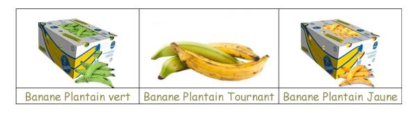  Vend Banane Plantain - fruits et légumes nous vendons aux distributeurs de la banane plantain selon votre demande vert,  tournant,  jaune----ci dessous les fruits et l&eacute;gumes exotiques que nous pouvons vous fournir.----01. banane plantain vert,  tourant,  jaune,  &agrave; vous de choisir.--02. igname--03. manioc--04. piment--05. gombo--06