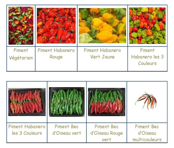  Vend Piments Toutes Varietes - fruits et légumes nous vendons toutes les vari&eacute;t&eacute;s de piments - piments,  habanero,  v&eacute;g&eacute;tarien,  bec d'oiseau--ci dessous les fruits et l&eacute;gumes exotiques que nous pouvons vous fournir.----01. piments,  habanero,  v&eacute;g&eacute;tarien,  bec d'oiseau--02. gombo --03. banane plantain ve