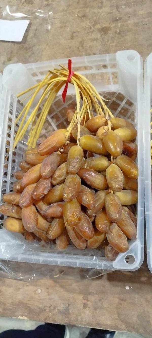  Dattes Algérienne - fruits et légumes  nous avons des dattes deglet nour d'algerie premium dans des boites de 1 kg 2kg et 5kg et la nouveaute 500grs profitez de l'offre  pour plus de details n'h&eacute;sitez pas &agrave; me contacter cordialement