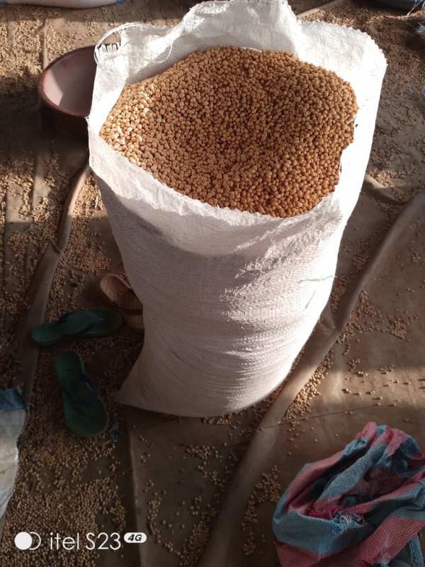  2000 Tonnes De Céréales (sésame Soja) - céréales nous disposons en ce moment dans nos diff&eacute;rents d&eacute;p&ocirc;t 2000 tonnes de diff&eacute;rents c&eacute;r&eacute;ales a savoir du soja du s&eacute;same de l'haricot blanc. nous disposons d'une marque. la maison de c&eacute;r&eacute;ales. lmd nous sommes en c&ocirc;te d'ivoire au no