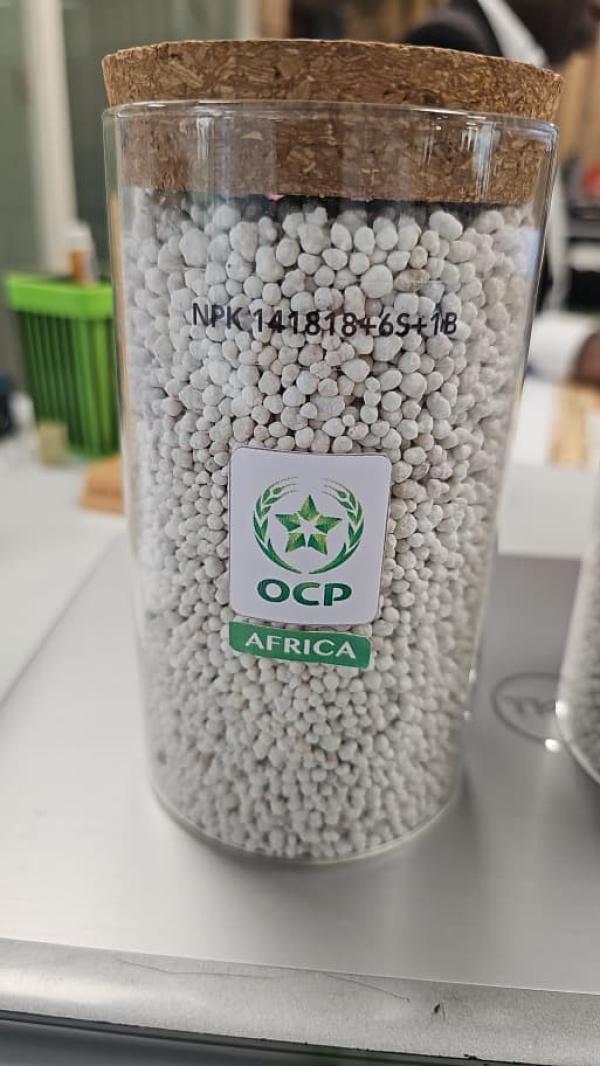  Vente De Dap, Tsp Et Npk 14-18-18 Abidjan - chimie additif engrais nous mettons en vente des engrais dap tsp et npk 14 18 18 de haute qualit&eacute; imm&eacute;diatement disponibles au niveau de notre filiale &agrave; abidjan (c&ocirc;te d ivoire). conditions de vente exw   entrep&ocirc;ts abidjan quantit&eacute;s disponibles en stock qualit&eacute; co