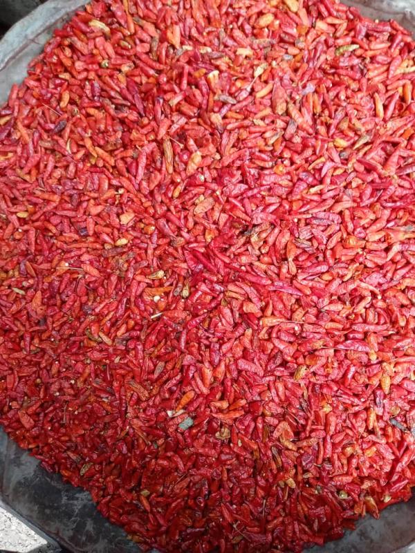  Piment Oeil D'oiseau - épices aromates le piment &oelig;il d oiseau est une vari&eacute;t&eacute; de piment tr&egrave;s piquant appartenant &agrave; l esp&egrave;ce capsicum frutescens. reconnu pour sa petite taille et sa puissance,  il est l un des piments les plus utilis&eacute;s en afrique de l ouest,  en asie et dans les cuisines tropi