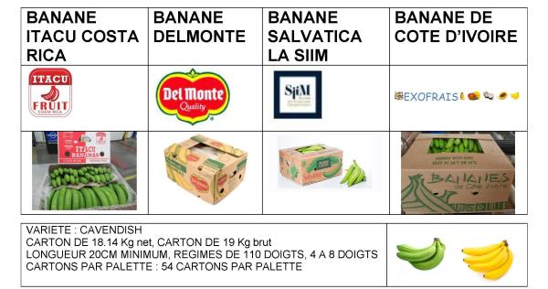  Banane Cavendish, Fruit, Dessert - fruits et légumes vend banane cavendish - vend banane fruit,  vend banane dessert----ci dessous les fruits et légumes exotiques que nous pouvons vous fournir.----01. banane fruits--02. ananas--03. mangue--04. noix de coco--05. avocats hass et tropical--06. papaye--07. canne a sucre--08. goyave--09. pasteque / m