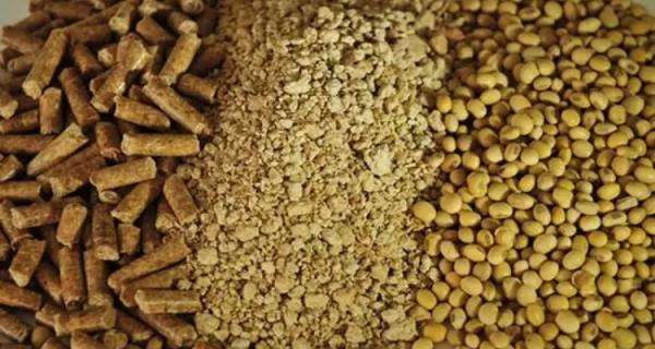  Tourteau De Soja En Vente - aliments pour animaux nous proposons du tourteau de soja de haute qualit&eacute; adapt&eacute; &agrave; la fabrication d’aliments pour volailles bovins porcs et poissons. notre produit est issu de soja 100 % naturel et non ogm avec une qualit&eacute; stable et r&eacute;guli&egrave;re r&eacute;pondant aux standards