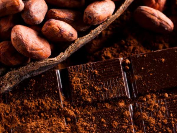  Producteur De Cacao Et Chocolat - café cacao thé  nous sommes producteur et importateur de cacao et de chocolat sp&eacute;cialis&eacute;s dans la fourniture de produits de qualit&eacute; destin&eacute;s &agrave; l industrie agroalimentaire ainsi qu aux professionnels de la boulangerie p&acirc;tisserie. nous mettons &agrave; votre di