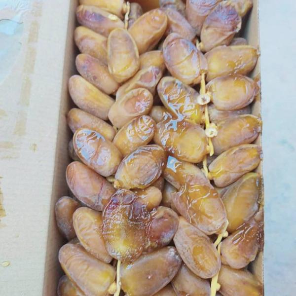  Dattes Algérienne - fruits et légumes nous avons des dattes algeriennes de bonne qualit&eacute; nous sommes de importateurs en france et nous pouvons livr&eacute;s partout en europe.