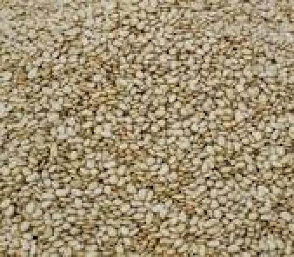  Fournisseur Desésame Et De Produits Tropicaux - fruits secs et graines grillées nous sommes un exportateur certifi&eacute; bas&eacute; au togo et au b&eacute;nin sp&eacute;cialis&eacute; dans la collecte le tri et l’exportation de produits agricoles de haute qualit&eacute;. nous recherchons actuellement des acheteurs s&eacute;rieux et r&eacute;guliers pour nos produits dispon