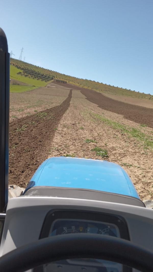  Terrain Agricole Vendre - mine terrain concession أterrain de superficie total 7 ha 336ca dans les regions du meknes plus proche de la ville du meknes le prix d'un hectar est dh dans les environs de 30 dh /3€ / m² voil&agrave; pour les investisseurs agricole pour meme construire une villa ouvert dans pleinement de la nature soyez les bienvenues de 