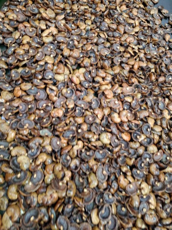  Coque De Noix De Cajou - matiere vegetale bonjour nous avons le plaisir de vous informer que nous sommes en mesure de vous livrer jusqu'&agrave; 5000 tonnes de coques de noix de cajou d'origine de la cote d'ivoire et &agrave; un prix vraiment concurrentiel. pour plus de d&eacute;tails n'hesitez pas &agrave; nous ecrire ou nous laisser un me