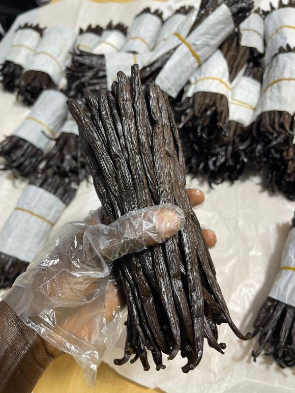  Vanille Gourmet Bourbon Grade 16 20 Cm - épices aromates  &agrave; vendre – vanille bourbon grade a (gourmet) – origine ouganda – 10 kg nous proposons &agrave; la vente 10 kg de vanille bourbon grade a (gourmet) provenant directement d’ouganda. produit haut de gamme id&eacute;al pour professionnels de la p&acirc;tisserie chocolatiers glaciers 