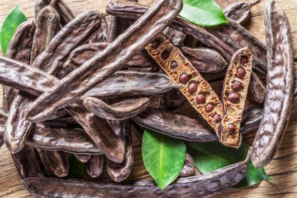  Vente De Caroube D’algérie Qualité Export - céréales nous proposons de la caroube (caroube enti&egrave;re et poudre) d’origine alg&eacute;rie qualit&eacute; sup&eacute;rieure. quantit&eacute;s disponibles pour export. possibilit&eacute; d’exp&eacute;dition vers plusieurs pays. contactez nous pour plus de d&eacute;tails.