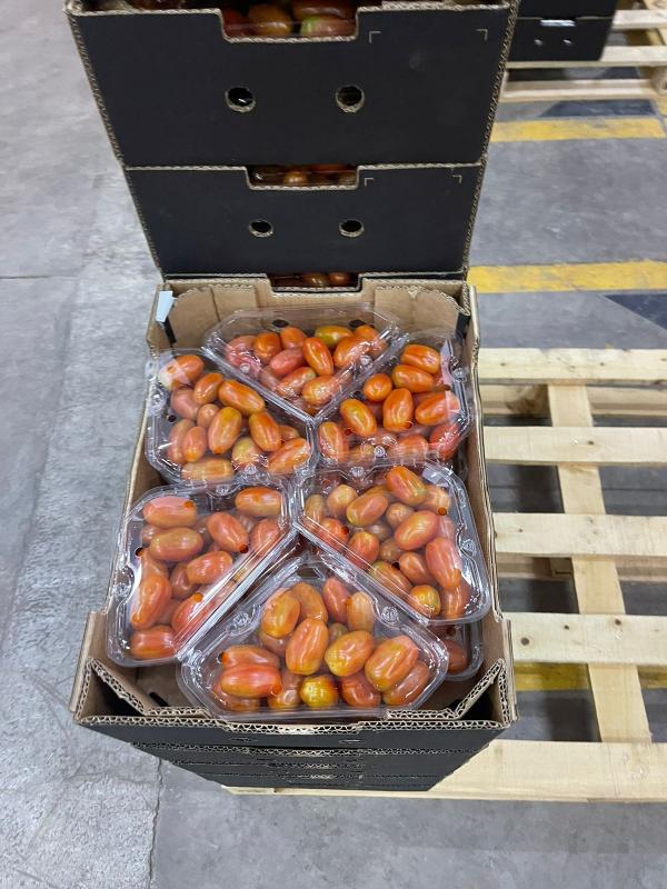  Tomate Cerises Vendre - fruits et légumes  nous avons des tomates cerises allong&eacute;es azura avec des quantit&eacute;s int&eacute;ressante en frag et aussi en barquette de 250g et 500g. nous sommes a agadir station damballage. mode paiement 50% a la vance 50% a la charge. 