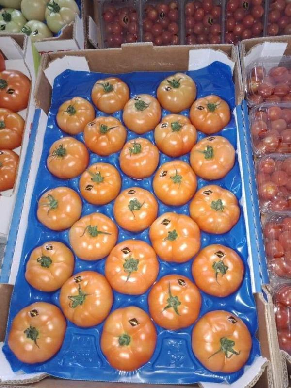  Tomate Vendre - fruits et légumes  nous sommes au maroc et nous avons des tomates a vendre avec une quantit&eacute;s int&eacute;ressante et des prix a la rigueur 