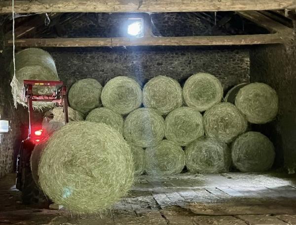  Vends Foin De Montagne Recolte 2025 - aliments pour animaux foin de montagne r&eacute;colt&eacute; &agrave; 1050m d’altitude. balles rondes 120x120 cm poids moyen 300 350 kg/balle. foin sec vert riche en gramin&eacute;es et l&eacute;gumineuses. id&eacute;al pour chevaux bovins ovins et caprins. coupe estivale 2025 (18 juin) s&eacute;chage naturel 