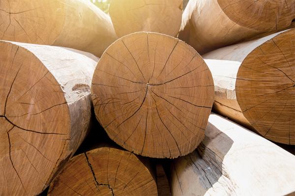  Vente De Bois De Teck&hevea - bois charbon fibre  nous disposons du bois d'hevea et du bois de teck transform&eacute; en vente disponible en c&ocirc;te d'ivoire. 