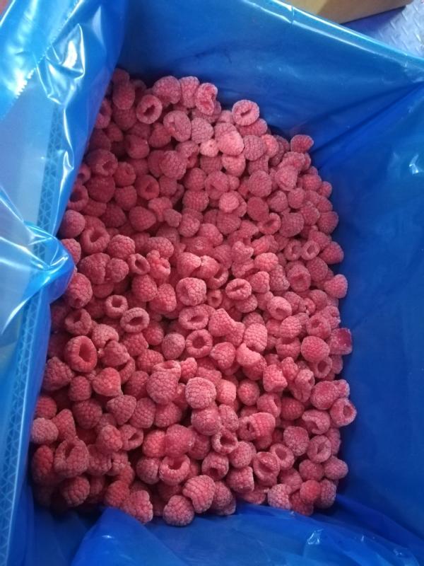 Framboise Vendre - fruits et légumes  nous avons des framboise frais et surgel&eacute;es dune quantit&eacute; mensuels 500t pendant la saison pour les surgel&eacute;e on na 90/10 et pour le fraise l emballage selon votre besoins. mode de paiement 50% avance 50%a la charge