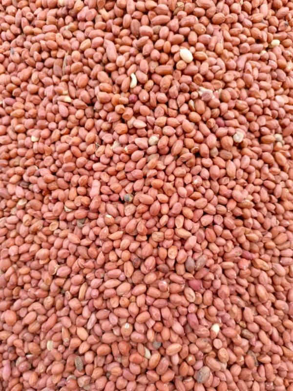  Vente Huile -riz-sucre-arachide - huiles en grosse quantit&eacute; vente de l'huile du riz de l'arachide noix de cajou en gambie et senegal. des voitures sous douanes au port de dakar aussi.