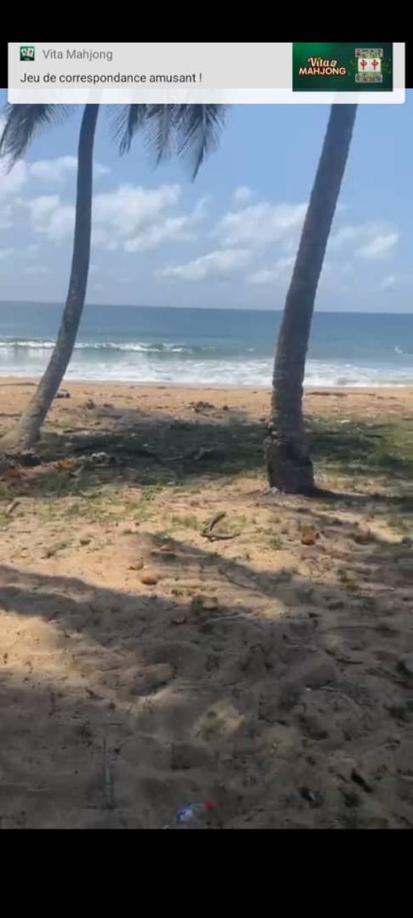  Vente De Terrain Jacqueville - mine terrain concession nous avons des terrains a vendre a n djeme en bordure de mer et non loin de la voie principal 2000m2 documents acd commission 10 /