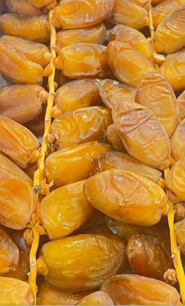  Deglet Nour Àl'export - fruits et légumes  nous sommes la soci&eacute;t&eacute; evergreenmf en tunisie nous exportons des dattes d'origine tunisienne excellente qualit&eacute; rigoureusement s&eacute;lectionn&eacute;e et conditionn&eacute; conform&eacute;ment aux normes internationales minimum quantit&eacute; une palette de 