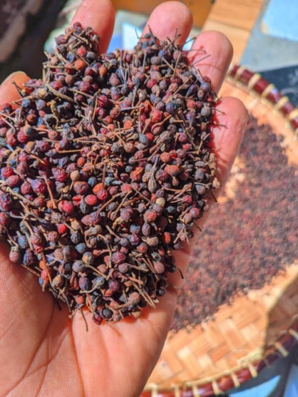  Poivre Sauvage De Mandritsara - épices aromates je cherche des partenaires pour accueillir mes produits de madagascar. je suis m&acirc;ture et motiv&eacute;e pour plus de collaboration avec n'importe quel compagnie. je vous remercie. 