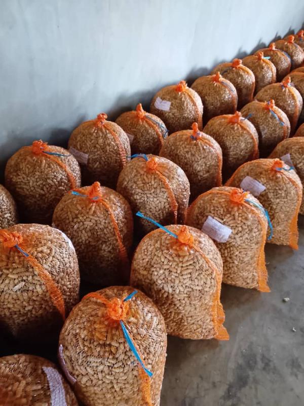  Arachides Fraiches - fruits secs et graines grillées arachides qualit&eacute; export disponibles en quantit&eacute; en coque. produit bien tri&eacute; adapt&eacute; &agrave; la transformation et &agrave; l’export.