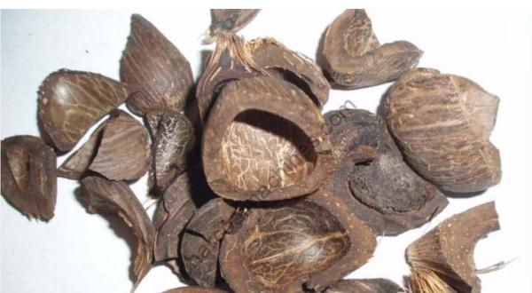  Coquille Des Noix De Palme - autres coquille des noix de palme de toutes les qualités nécessaires son disponible. --nous sommes la pour vous servir tout vos demandes veuillez nous contacter pour plus d'informations. 