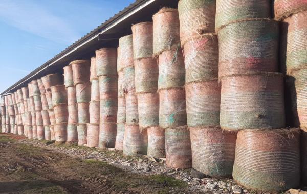  Vente De Stock De Foin De Prairie Naturelle - aliments pour animaux  je vends mon stock de foin de prairie naturelle de bonne qualit&eacute; conditionn&eacute; en balles rondes de 120x130 cm stock&eacute; sous hangar. je suis situ&eacute; en bourgogne dans la r&eacute;gion de louhans. cordialement 