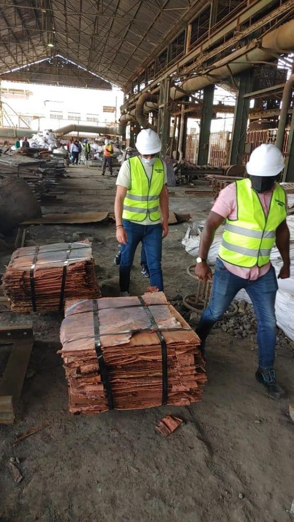  Importation De Bois Du Cameroun. - bois charbon fibre --importation de bois du cameroun   qualité supérieure et livraison internationale----nous sommes spécialisés dans l exportation de bois de haute qualité en provenance du cameroun vers le marché international. nos produits incluent - bois massif,  bois d &oel