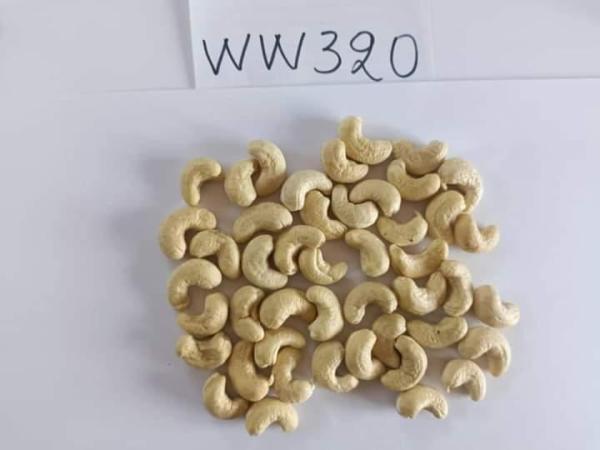  Vente De Noix De Cajou Type Ww 320 - fruits secs et graines grillées nous commercialisons des noix de cajou de type ww 320--origine. afrique de l'ouest--prix à la tonne 8300 usd 