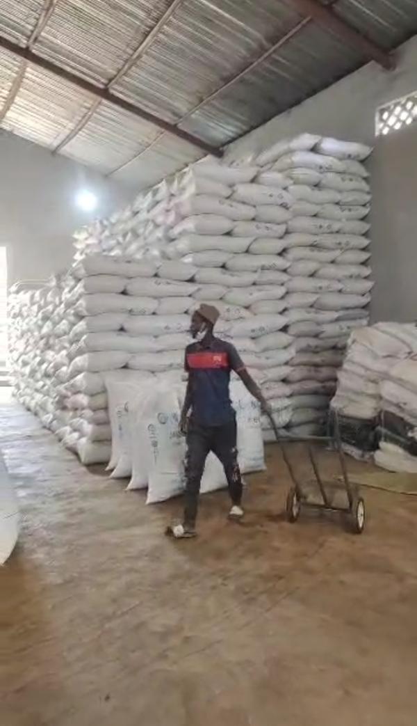  Sésame Blanc Trié - matiere vegetale nous proposons du sésame blanc de qualité,  propre,  bien trié et débarrassé des cailloux et corps étrangers,  idéal pour exportation et transformation.---- localisation - ouagadougou,  burkina faso-- produit - sésame blanc-- quantité - stoc