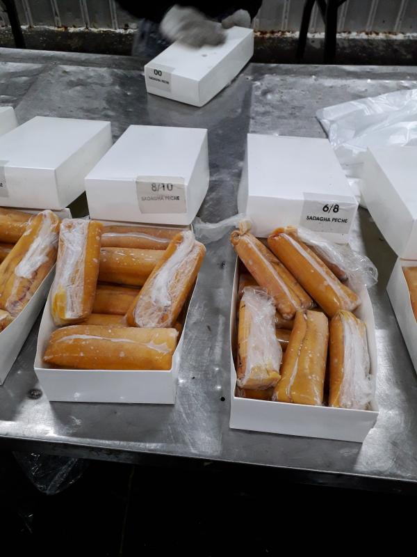  Ouefs De Mullets Offre - poissons exportateur bas&eacute; au s&eacute;n&eacute;gal,  propose des &oelig;ufs de mulets de qualit&eacute; export,  soigneusement s&eacute;lectionn&eacute;s et destin&eacute;s aux march&eacute;s professionnels. produit d origine afrique de l ouest,  disponible en qualit&eacute; premium avec approvisionnemen