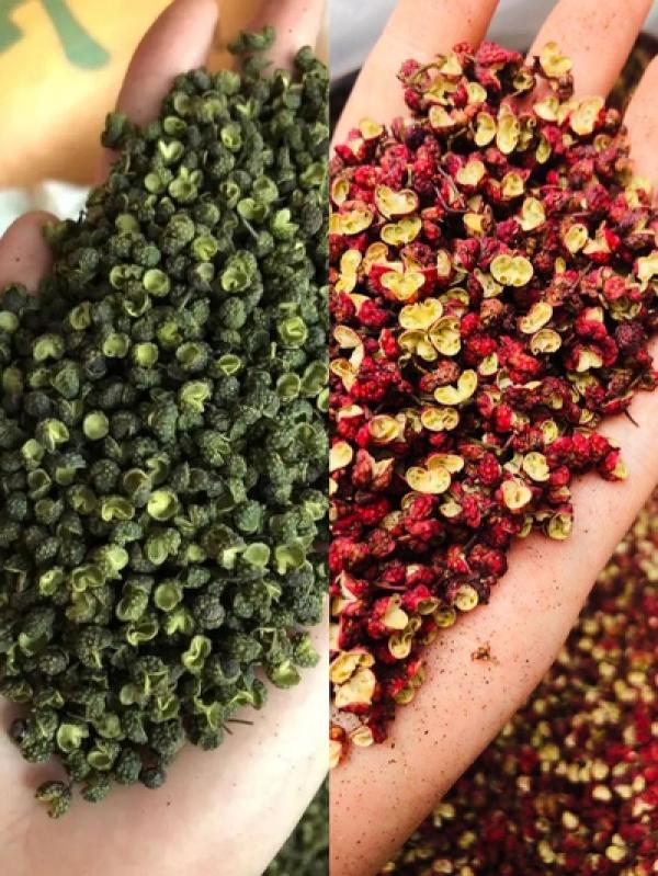  Exportateur Poivre Du Sichuan - épices aromates nous vous proposons du poivre du sichuan rouge et vert,  ipg sichuan,  gansu,  yunnan,  plusieurs grades et tris disponibles selon vos besoins. possibilit&eacute; de personnalisation de votre packaging. n'h&eacute;sitez pas &agrave; nous contacter si besoin.