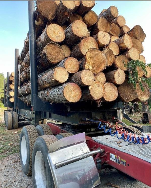  Service Bois - bois charbon fibre annonce de vente de bois----nous proposons la vente de bois de qualit&eacute; en gros,  disponible au m&egrave;tre.--nos bois sont adapt&eacute;s &agrave; plusieurs usages,  notamment -----la construction de maisons, ----les travaux de charpente et autres ouvrages, ----la fabrication de charbon de bois.