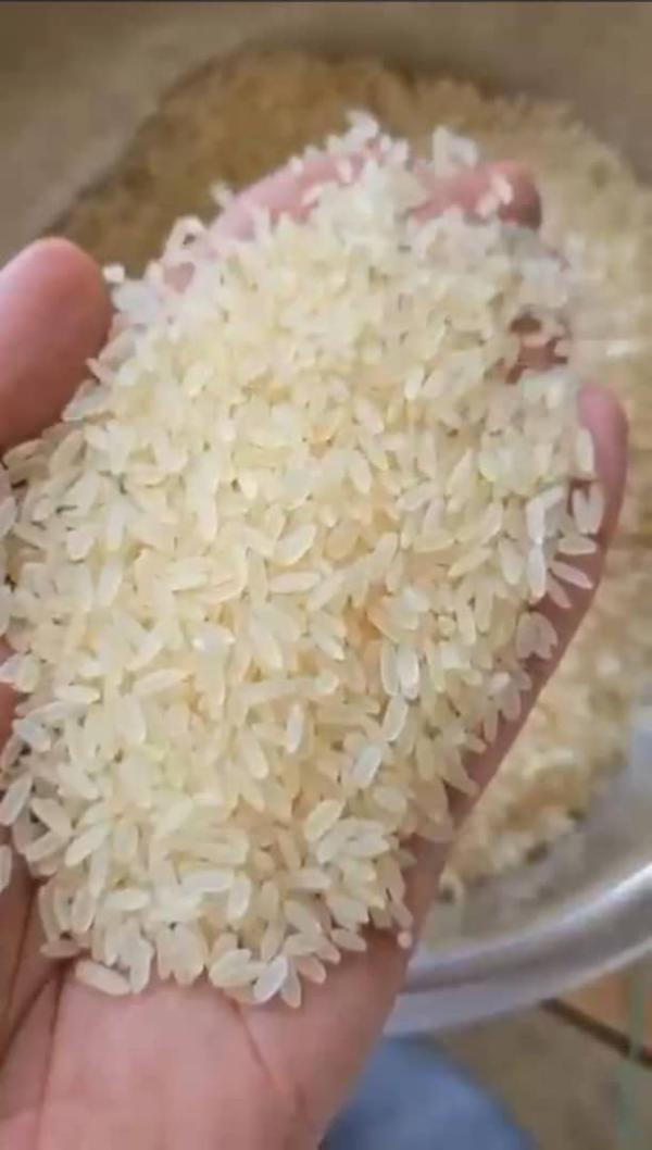  Riz Parboiled 5% Brisure - céréales riz parboiled 5% brisure--origine - india--quantit&eacute; - 40 conteneur ----disponible aux port de mumbai en inde.----proposition commerciale----1- au niveau des 40 conteneurs de riz parboiled 5% brisure. --conteneurs de 27 tonnes. --2- prix - 410, 00 usd la tonne   soit $11.070.00 usd par conteneu