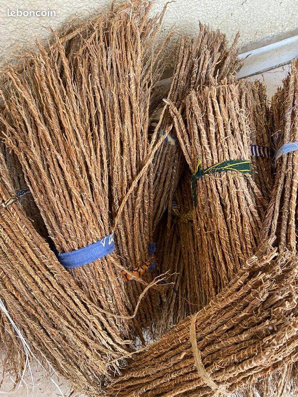  Vente De Racine Gongolili Khamaré) - horticulture plante biocarburant originaire d afrique de l ouest,  le khamar&eacute; (ou gongolili) est bien plus qu une racine - c est un v&eacute;ritable tr&eacute;sor naturel,  reconnu depuis des si&egrave;cles pour ses bienfaits exceptionnels