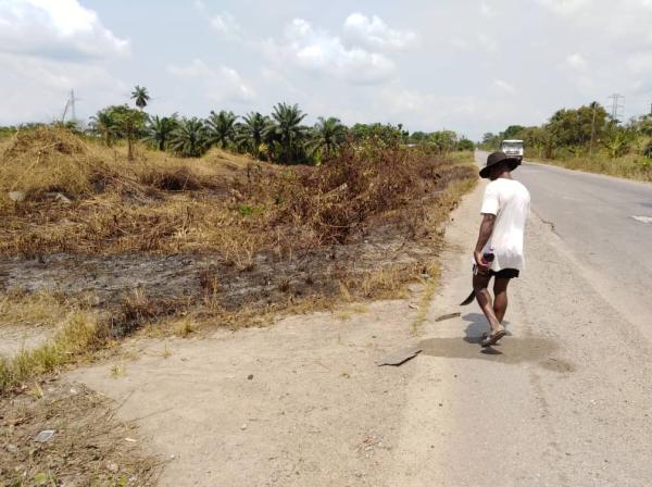  Terrain Industriel Vendre Zone De Kribi - autres terrain industriel &agrave; vendre &agrave; kribi -cameroun  56 838 m². parcelle plane et bord&eacute;e par la route,  offrant acc&egrave;s direct et facilit&eacute; d implantation. situ&eacute; en bordure d un fleuve,  site propice aux besoins en eau et &agrave; l am&eacute;nagement logistique. entou