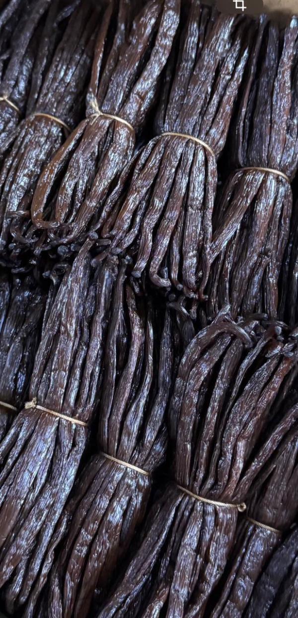  Vanilla Vanille - épices aromates la campagne d exportation de vanille 2025 2026 est officiellement ouverte !--chez natur flore,  nous poursuivons notre mission - offrir au monde la meilleure vanille de madagascar,  symbole d excellence et d authenticit&eacute;.--&agrave; la recherche d une vanille d exception ?-- nous sommes prets &a